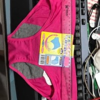 Jual CELANA DALAM ANTI MENSTRUASI Limited Murah