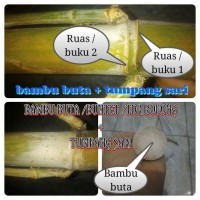 Info Bambu Buta Katalog.or.id Info Bambu Buta Katalog.or.id