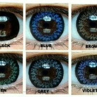 NEW ARRIVAL Softlens Clover PHB030