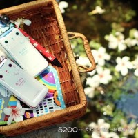 Jual Powerbank Probox Nekohako 5200Mah - Sanyo Cell - Original Murah