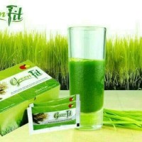 Jual greenfit green fit avail original Murah