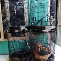 kandang murai BnR seri MB terbaru