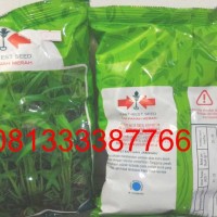 Seed Benih Bibit Kangkung Bangkok LP-1 kemasan 1 kg Cap Panah Merah