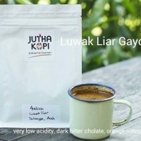 Jual Kopi Arabika Luwak Liar GAYO Aceh Takengon Asli Bubuk atau Biji Murah