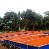 Jual kolam kotak 1x1x0.50 A12 Murah