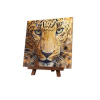 Jual Pintoo Puzzle XS256 P1178 Close Up Leopard Murah