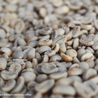 Jual Flores Arabica Green Bean 1Kg (Biji Kopi Mentah) Murah