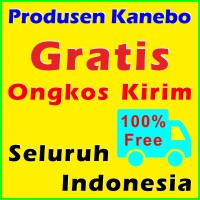 Jual Kanebo - Kain Lap MICROFIBER - AION - Plas Chamois - Lap Mobil Motor Murah
