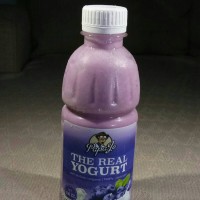 Jual Yogurt Asli Murni Organic Rasa BLUE BERRY 100% Susu Sapi Segar Murah
