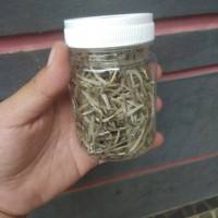 Jual 25gr teh putih, Silver needle white tea PUSAT teh hijau chinese tea Murah