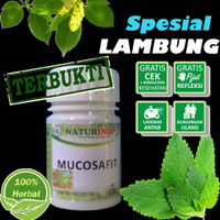 Obat Herbal Lambung Spesial Mucosafit Naturindo