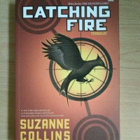 Jual Novel terjemahan Catching Fire Murah