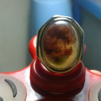 Jual pancawarna garut kristal Murah