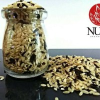 Jual Beras Organic Mix Coklat dan Hitam, Kualitas Export Murah