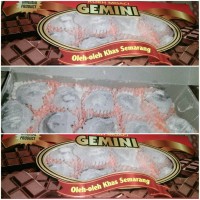 Jual moaci gemini rasa coklat tepung Murah