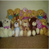 Jual HOT SALE !!! Boneka Rekam Suara Recorded Toys Barang Unik China Resell Murah