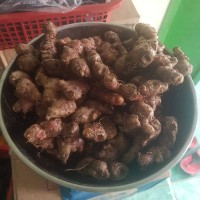 Jual Jahe Merah Murah