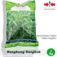 Benih-Bibit Kangkung Bangkok LP-1 (Cap Panah Merah)
