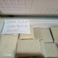 Jual Daging Durian Medan Murah