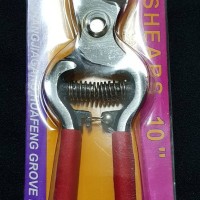 Jual GUNTING DAHAN ranting daun taman BENGKOK 10