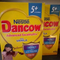 Jual Dancow 5+ Vanila 800g box Murah