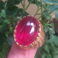 Jual Cincin Titanium Tanam Zebra Batu Merah Delima Medium Size HQ Murah