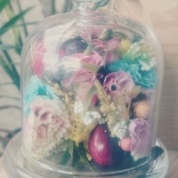 Jual Small glass dome jar display kubah kaca untuk florist atau cupcake Murah