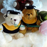 Jual boneka teddy bear/wisuda eceran/souvenir/beruang/kado/hampers Murah
