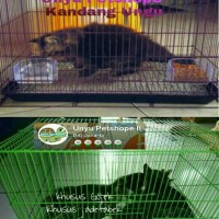 Jual Kandang Kucing Kelinci Burung Hamster Landak size M Murah