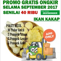 Jual Pempek Palembang QQ Ikan Laut Murah