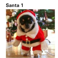 Jual Baju Santa anjing kucing pakaian hewan natal dog cat christmas costume Murah
