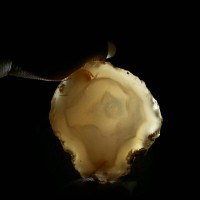 Jual manik air / batu isi air / natural enhydro chalcedony - 37 Murah