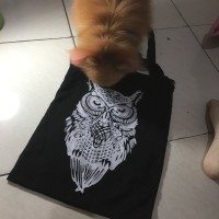 Jual tas burung hantu Murah