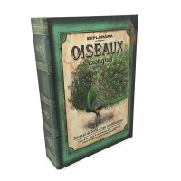 Jual Brankas Buku Antik Jadul Kuno - LARGE SIZE - Peacock Murah
