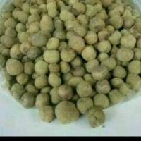 Paket 0,5 kg Benih Biji Pohon Jati Emas Super Unggul