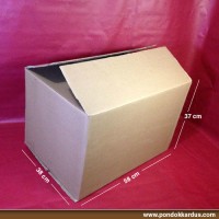 Jual Kardus Polos PK09DW (58x38x37) Murah