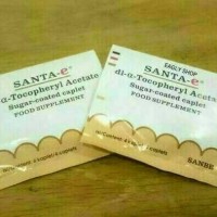 Jual SANTA E 100/STRIP Murah