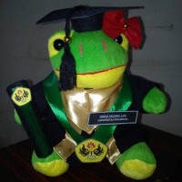 Jual Boneka Wisuda Keroppi - 25 cm Murah