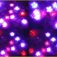 Jual Lampu Kabel Bintang Star LED Warna Hiasan Dekorasi Unik Pohon Natal Murah