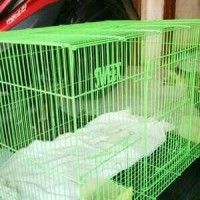 Jual Kandang Kucing kelinci hamster burung Size L Murah