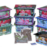 Jual Kebun tanaman mini buah sayur Mama Garden Creative Product Farm HHM356 Murah