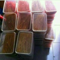 Jual lidi lidian Murah