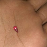 Jual Mustika Merah Delima Asli Terbukti Murah