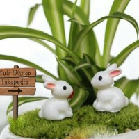 Jual Miniature Kelinci Putih Dekorasi Terrarium Mini Garden Murah