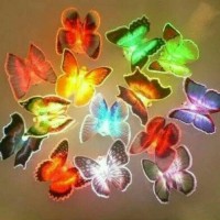 Jual Lampu tidur kupu kupu 7 warna Murah
