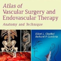 Jual CD E-BOOK ATLAS OF VASCULAR SURGERY AND ENDOVASCULAR THERAPY - ANATOMY Murah