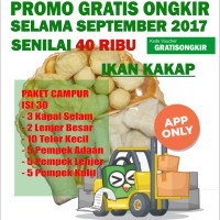 Jual Pempek Palembang QQ Paket Sedang isi 30 Murah