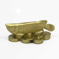 Harga Ikan Arwana Kecil Katalog.or.id Harga Ikan Arwana Kecil Katalog.or.id