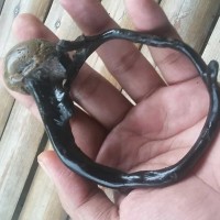 Gelang Akar Bahar Hitam Lentur Natural Unik Antik Bonggol Besar
