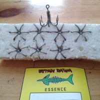 Kail pancing garong Baronang Best seller